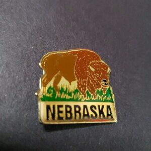 Nebraska Buffalo souvenir lapel pin / pin back
